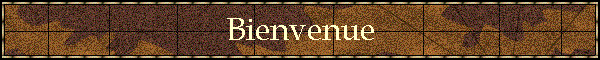 Bienvenue